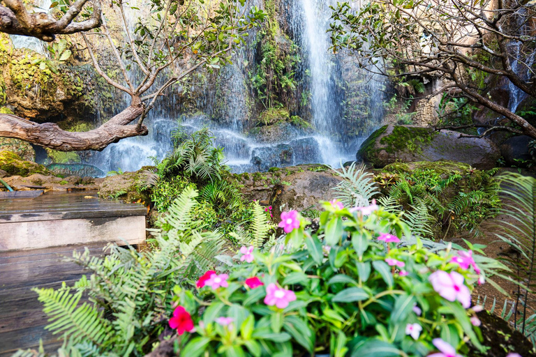 Chiang Mai Sticky Waterfall & Dantewada with Hotel Transfer