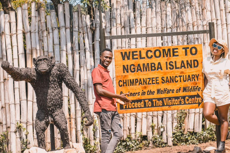 From Kampala: Ngamba Island Chimpanzee Sanctuary Tour From ENTEBBE: Ngamba Island Chimpanzee Sanctuary Tour