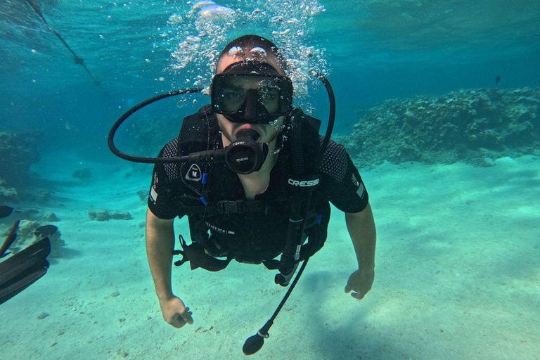 Scuba Diving, Snorkeling, and Boat Tour PADI SSI