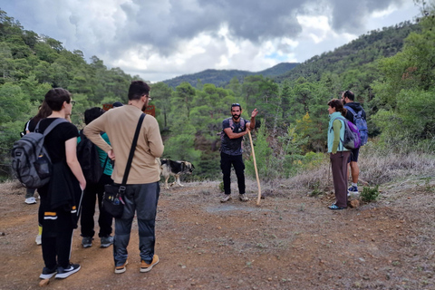 Cyprus: Troodos & Geopark or Pafos Forest & Villages Tour