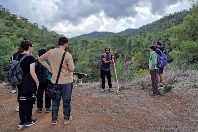 Cyprus: Troodos & Geopark or Pafos Forest & Villages Tour