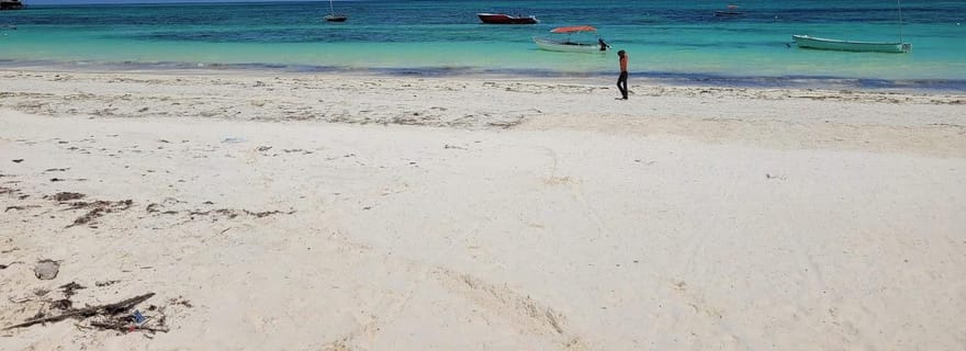 Visite privée : Excursion de plongée en apnée au Blue Lagoon avec Starfish