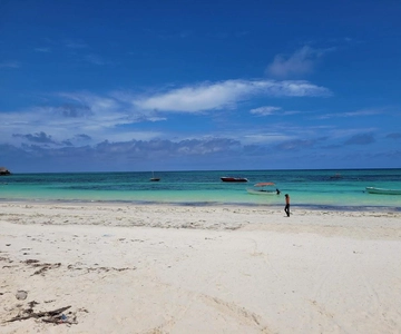 Private Tour: Snorkeling trip at Blue Lagoon with Starfish