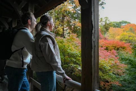 Kyoto: Early Bird E-Bike-tur med lunsj