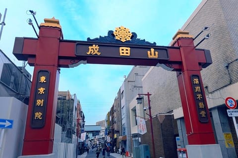 Private Tokyo Tour: Toyosu Sushi & Old Town Culture - Image 2