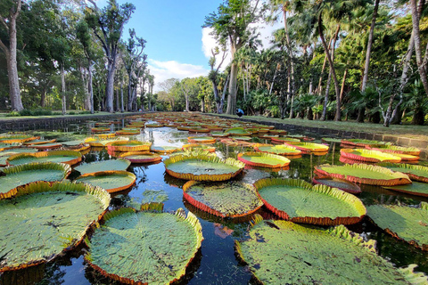 Mauritius: Ganztagestour durch den Norden der Insel mit einem lokalen GuideMauritius: Private Ganztagestour auf der Nordinsel mit einem Einheimischen