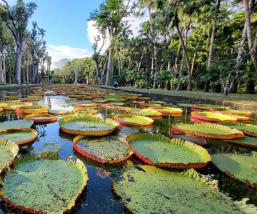 Mauritius: North Island Private Full Day Tour with a Local