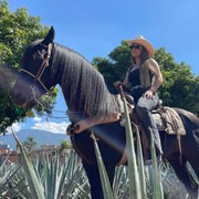 From Guadalajara: Tequila Town and Cantaritos El Guero