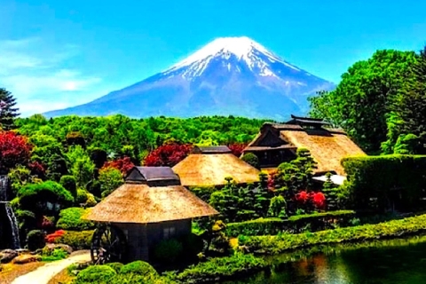 2-Days Private Tour Tokyo MT Fuji and Hakone With Guide