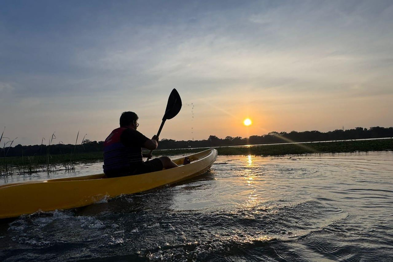 Sigiriya: Prime Horizon Kayak Experience