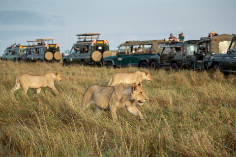 Nairobi: National Park Private Tour with Lunch at Carnivore Nairobi: National Park Private Tour without Lunch