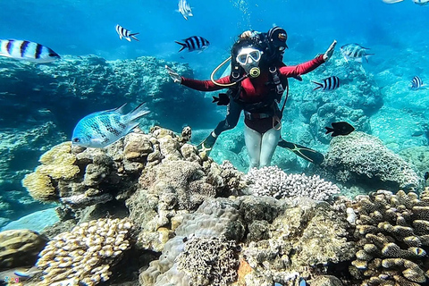Cham Islands: Scuba Diving Experience with 2 Divemaster Opts PADI Scuba + Snorkeling (1 Dive + 1 Snorkel)