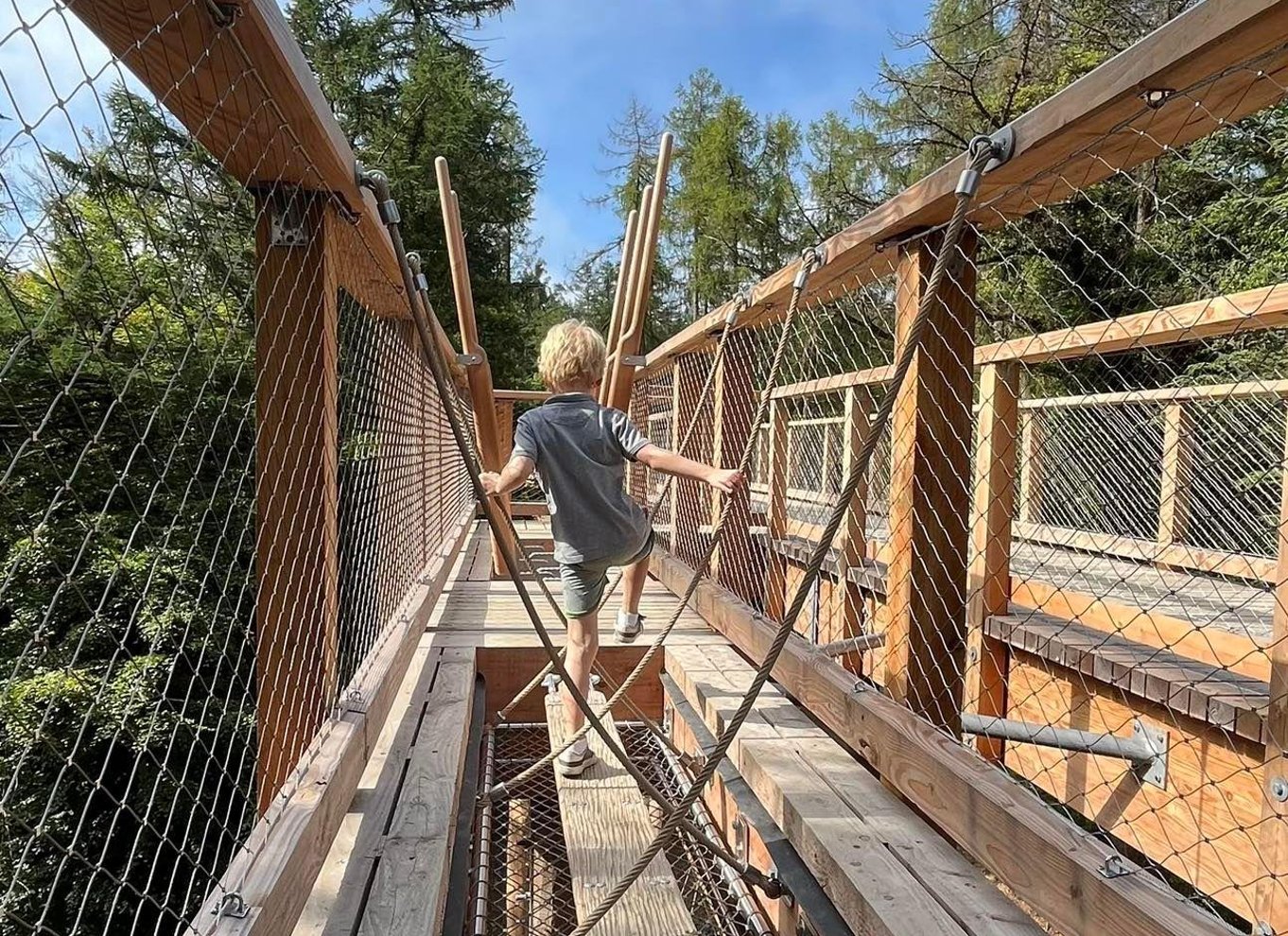 Individuelle entrébilletter til trætopstien og udsigtstårnet