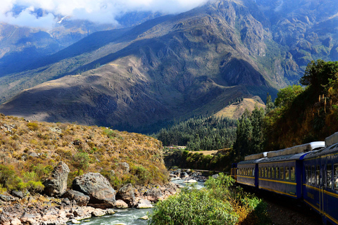 From Cusco: Machu Picchu Full Day Tour with Panoramic Train Machu picchu Regular Tour (Standard Experience)