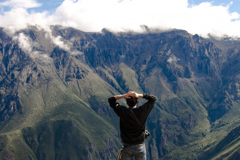 From Arequipa: Tour Fantastic to Colca Canyon |2Days/1Night|