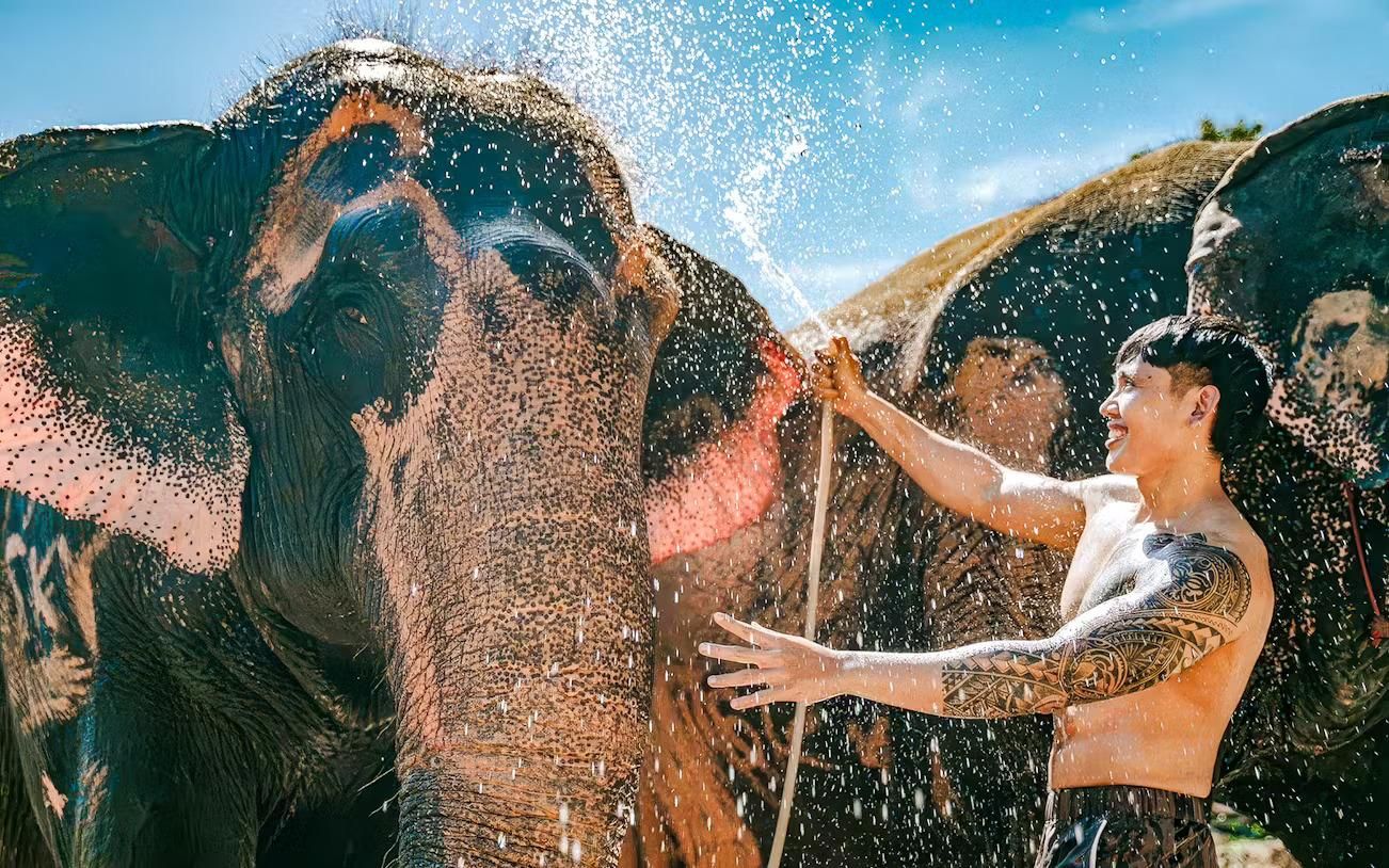 Jaipur: Tour ins Elefanten-Schutzzentrum mit Abholung und Rücktransfer