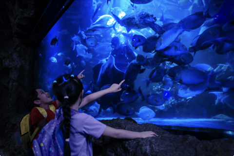 Jakarta: Sea World Ancol Entry Ticket Regular Sea World Ancol - Exclude Ancol Entrance Gate Ticket