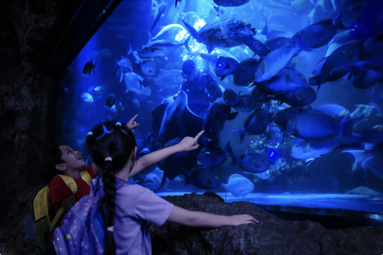 Jakarta: Sea World Ancol Entry Ticket Regular Sea World Ancol - Exclude Ancol Entrance Gate Ticket