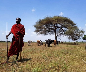 MASAI VILLAGE CULTURAL EXPRIENCE DAY TOUR.