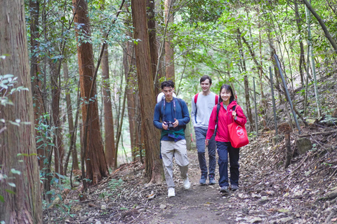 Kioto: tour de senderismo oculto de 3 horas por el santuario Fushimi Inari