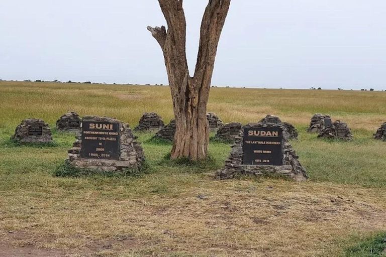 Nairobi: Ol Pejeta Conservancy Day Trip with Game Drives