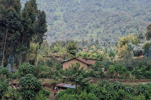 Vanuit Kigali: 2-daagse gorillatrektocht in Rwanda