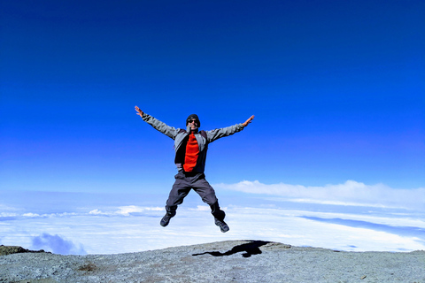 Kilimanjaro: 9 dias de caminhada na Rota do Circuito Norte