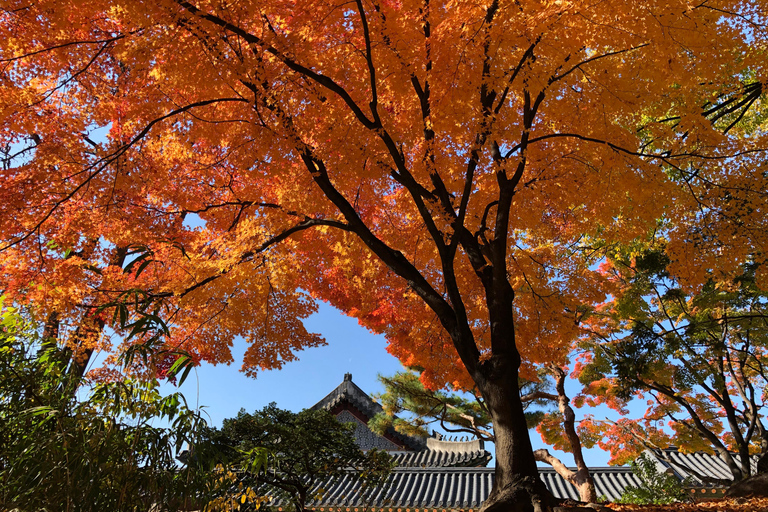 Séoul : visite privée avec un habitant pendant votre escaleVisite privée de Séoul depuis l&#039;aéroport avec un habitant