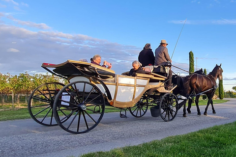 Wachau porcelain carriage A sparkling carriage ride through the vineyards Wachau Porcelain Tour A sparkling carriage ride through the vineyards