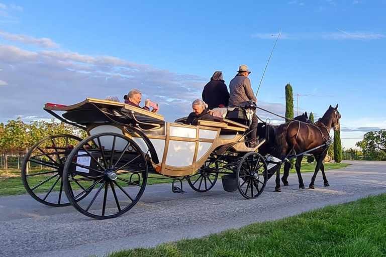 Vienna Porcelain Carriage - A discreet Prater carriage ride for adults