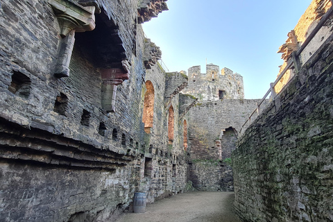 Conwy: Conwy Castle Guided Tour