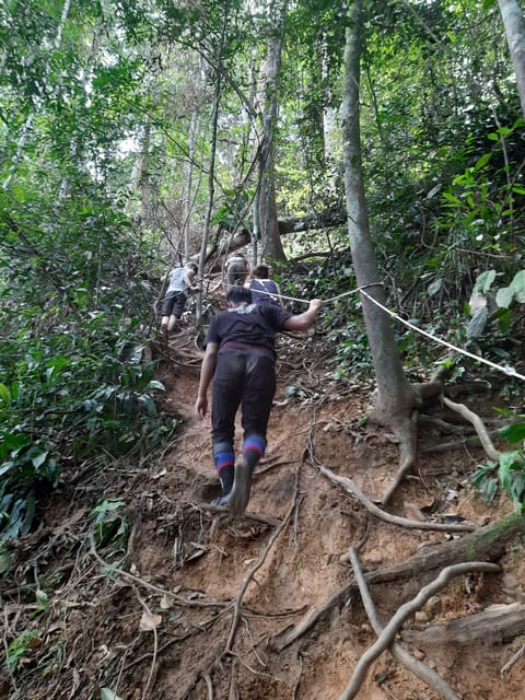 D N Orang Utan Expedition Ab Bukit Lawang Getyourguide