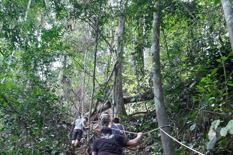 3D2N Orangutan Expedition:from Bukit Lawang "3-Day Orangutan Expedition & Jungle Camping in Bukit Lawang