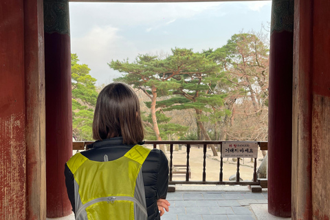 Private Gyeongju UNESCO Tour with Ryan - Starts in Gyeongju From Gyeongju: Private UNESCO Highlights with a Local Guide