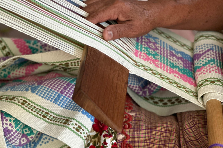 Visite privée de Monte Alban et des villes artisanales