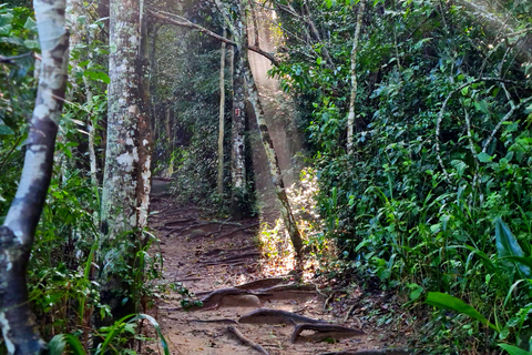 Rio de Janeiro: Tour a piedi di Pedra do Telégrafo con spiaggeAlba: Tour escursionistico di Pedra do Telégrafo con le spiagge