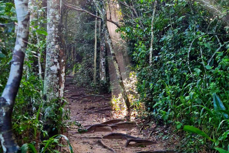 Rio de Janeiro: Tour a piedi di Pedra do Telégrafo con spiaggeAlba: Tour escursionistico di Pedra do Telégrafo con le spiagge