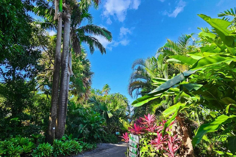 Basse-Terre: Half-Day City Tour with Guide & Hotel Transfers Tour with guide, driver, ac car