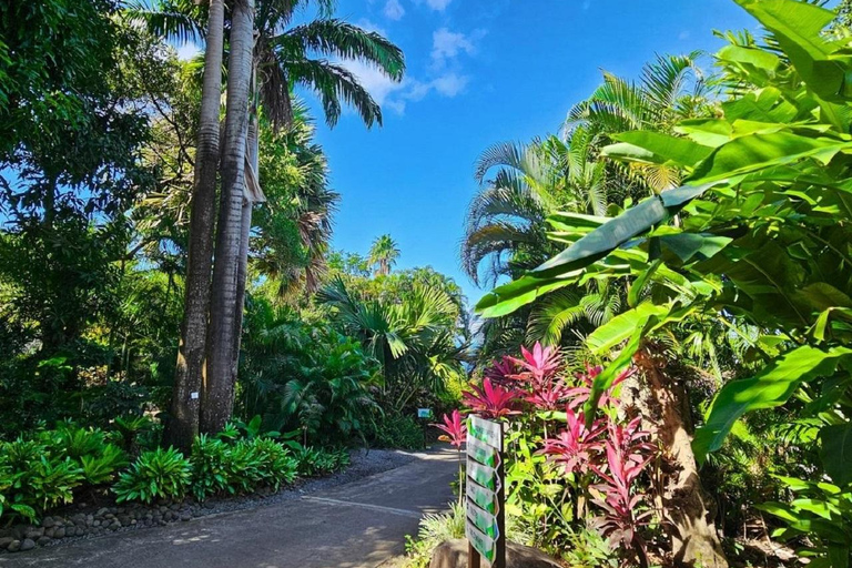 Basse-Terre: Half-Day City Tour with Guide & Hotel Transfers Tour with guide, driver, ac car