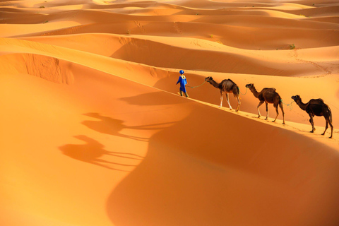 Desde Agadir: Paseo en Camello y Excursión a los Flamencos