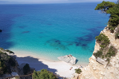 Cala Gonone: Gulf of Orosei Catamaran Cruise with Aperitif