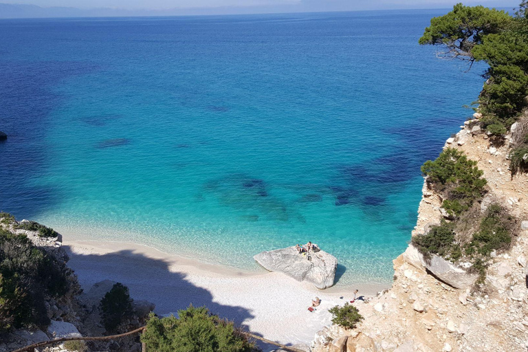 Cala Gonone: Gulf of Orosei Catamaran Cruise with Aperitif