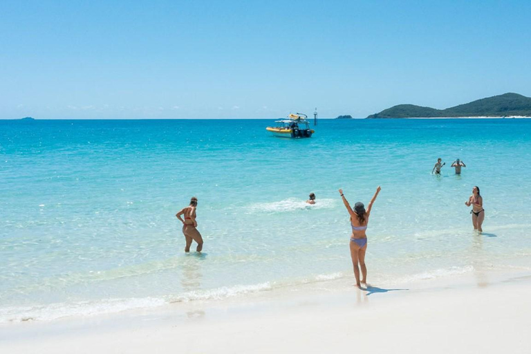 Whitsunday: Tour delle Isole Whitsunday con snorkeling e pranzo