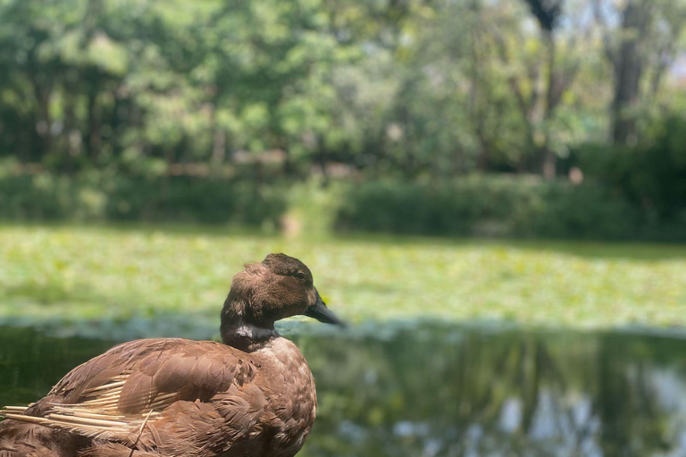 Medellín natural: jardim botânico, parque Arví, monte El volador e almoço.