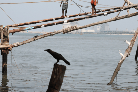 Cochin Private Shore Excursion Expedition with Harbor Cruise