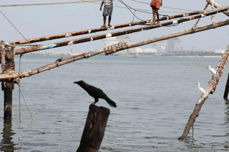 Cochin Private Shore Excursion Expedition with Harbor Cruise