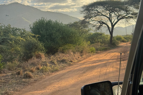 Moshi: Mkomazi National Park Day Trip with Game Drive