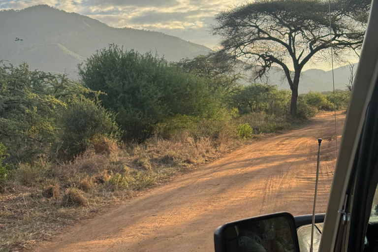 Moshi: Mkomazi National Park Day Trip with Game Drive
