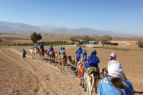 Balade à dos de chameau dans le désert d'Agafay avec dînerExcursion dans le désert d'Agafay avec balade à dos de chameau et dîner