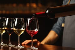 Weinprobe & geführte Städtetour in Ponta Delgada (DE/EN/PT)